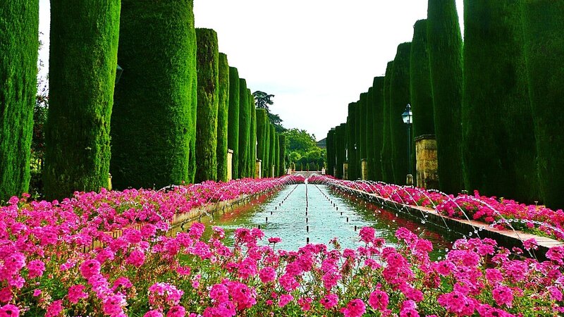Fountain with Pink Flowers