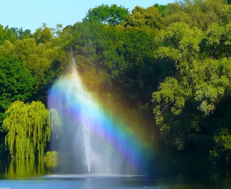 Fountain with Rainbow — Green, Serene