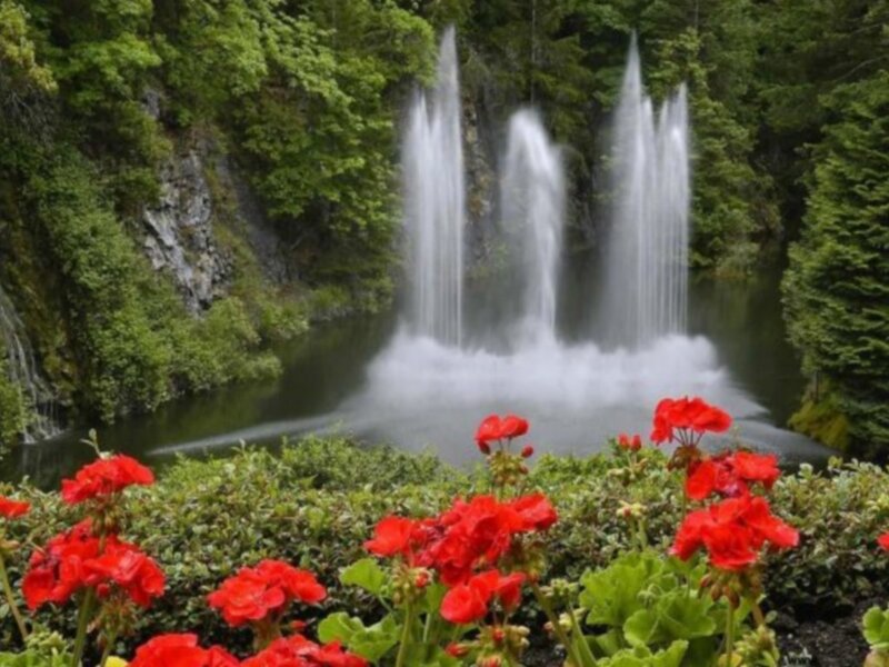 Fountains in a lush garden