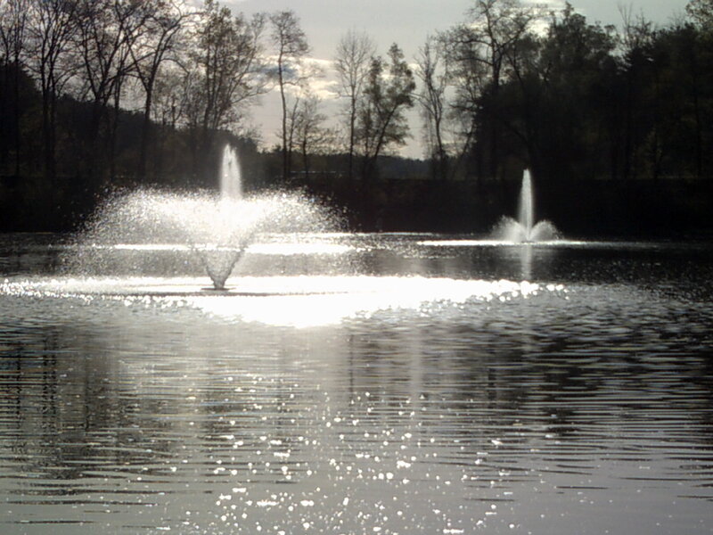 Fountains in a park pond