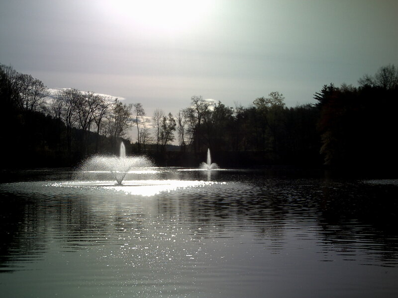 Fountains on a lake at dusk