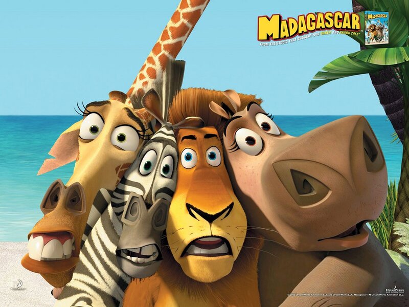 Four Animals on Beach