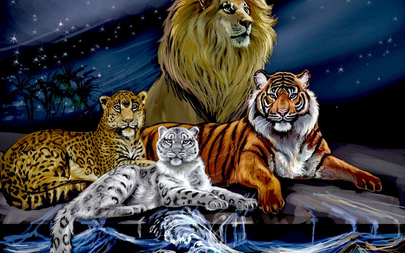 Four Big Cats at Night