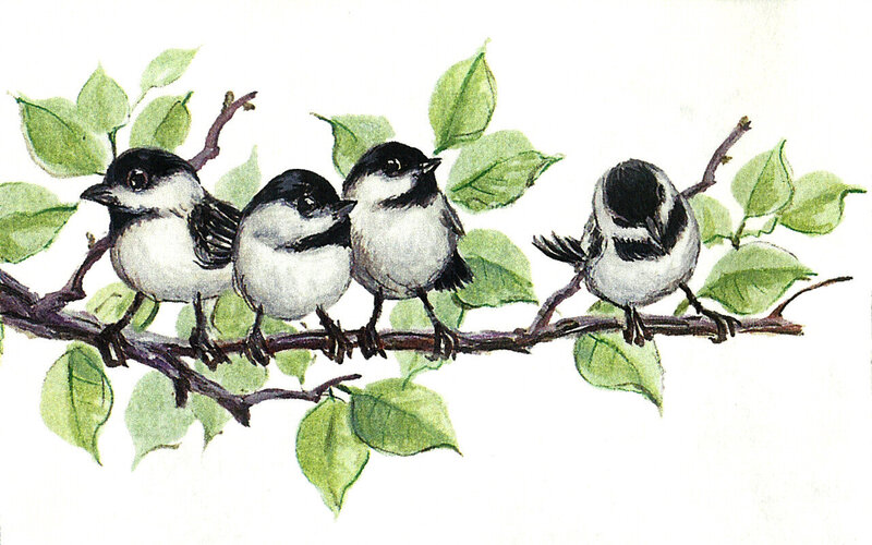 Four Birds on a Branch — Green, Calm