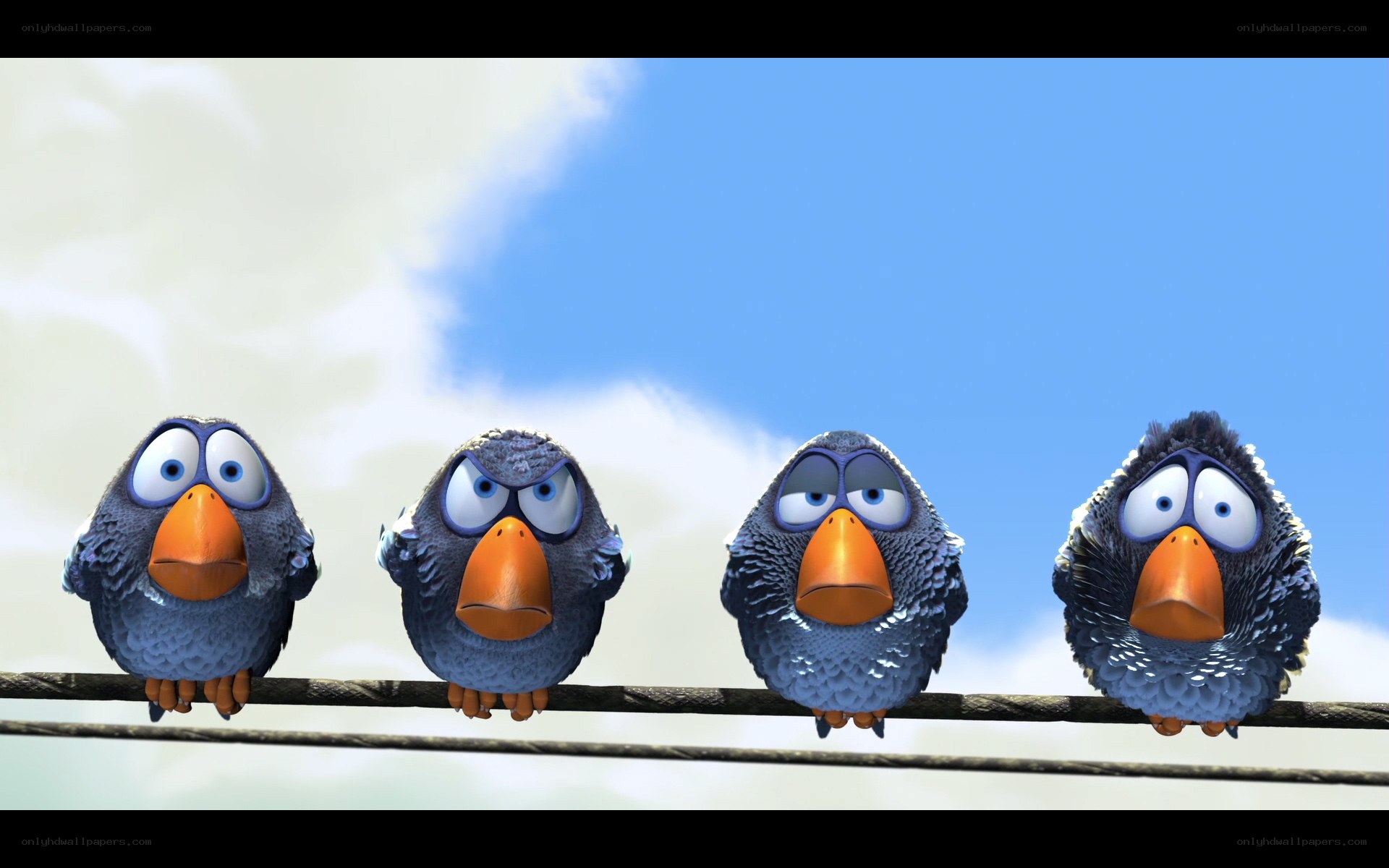 four birds on a wire