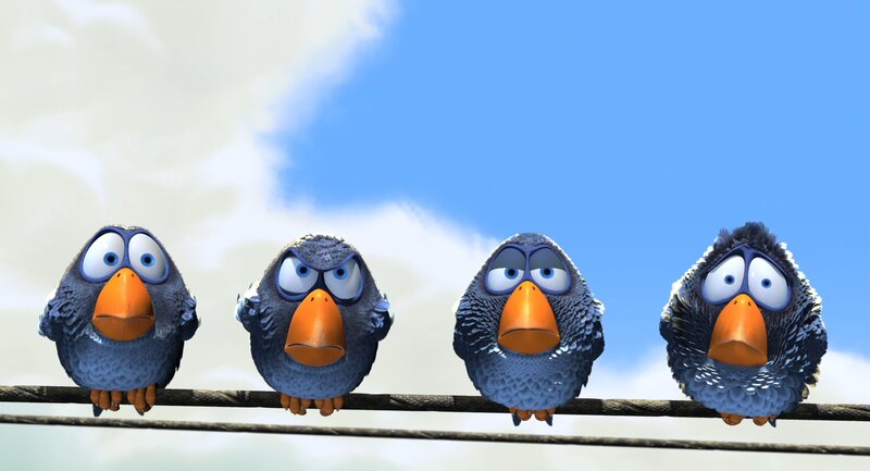 four birds on a wire