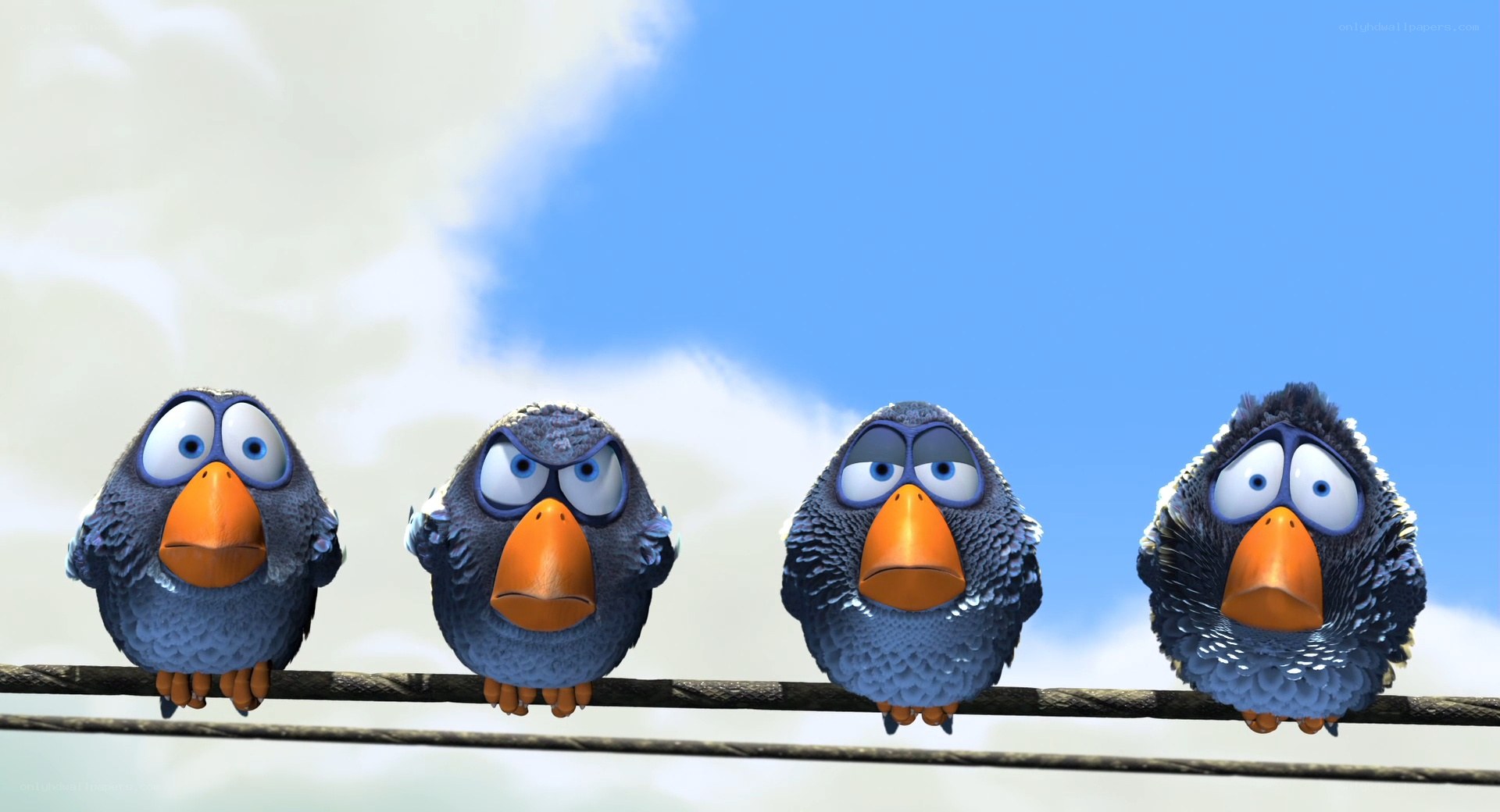 four birds on a wire