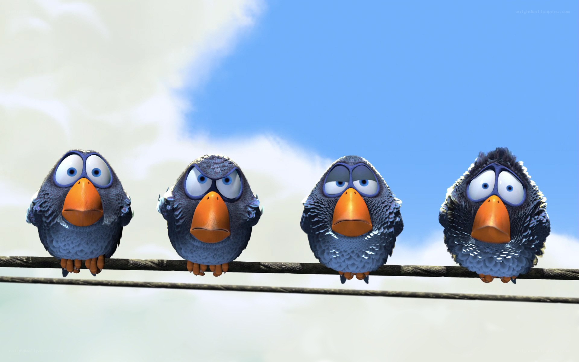 four birds on a wire