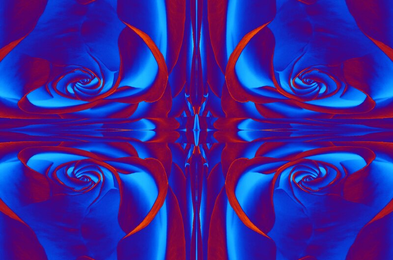 Four Blue Roses