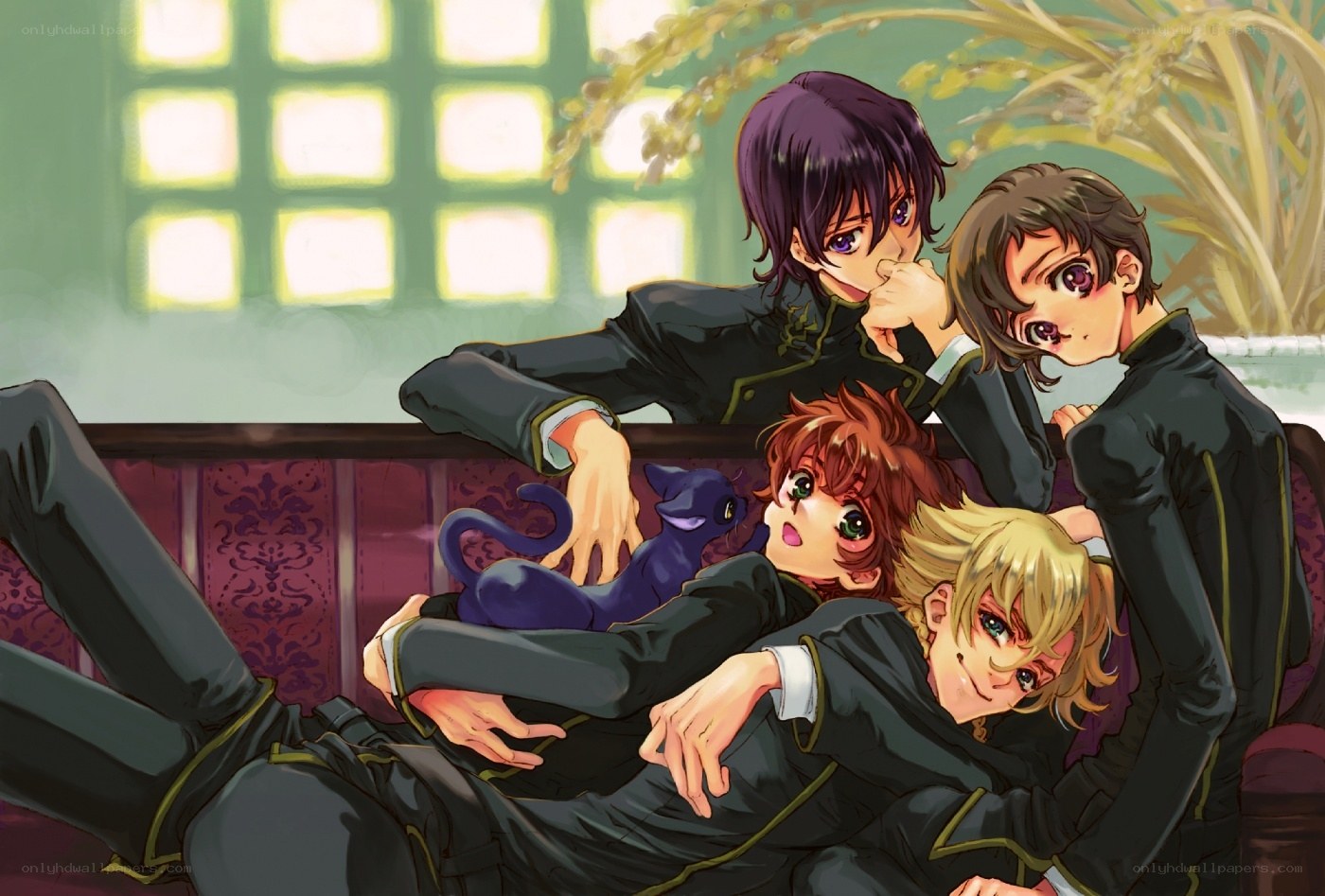 Four boys with a cat