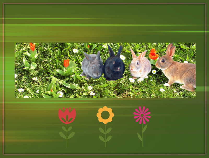 Four Bunnies in Grass