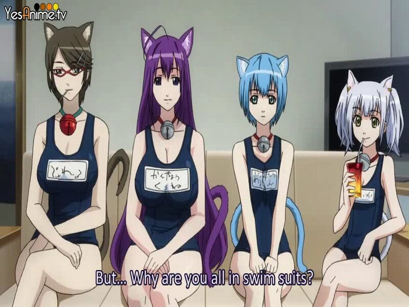 Four Cat-eared Girls