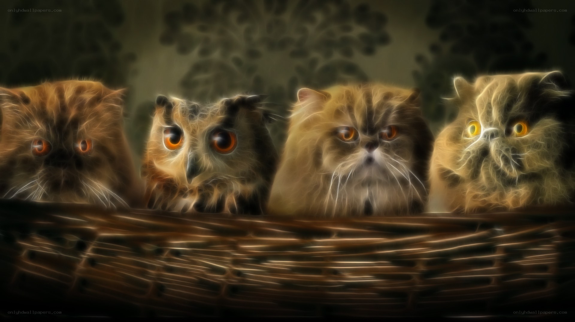 four cats in a basket