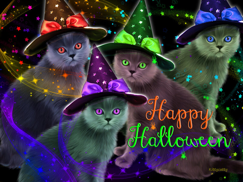 Four Cats in Witch Hats