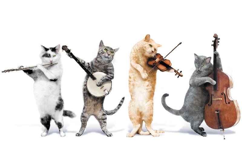 Four Cats Playing Instruments — White