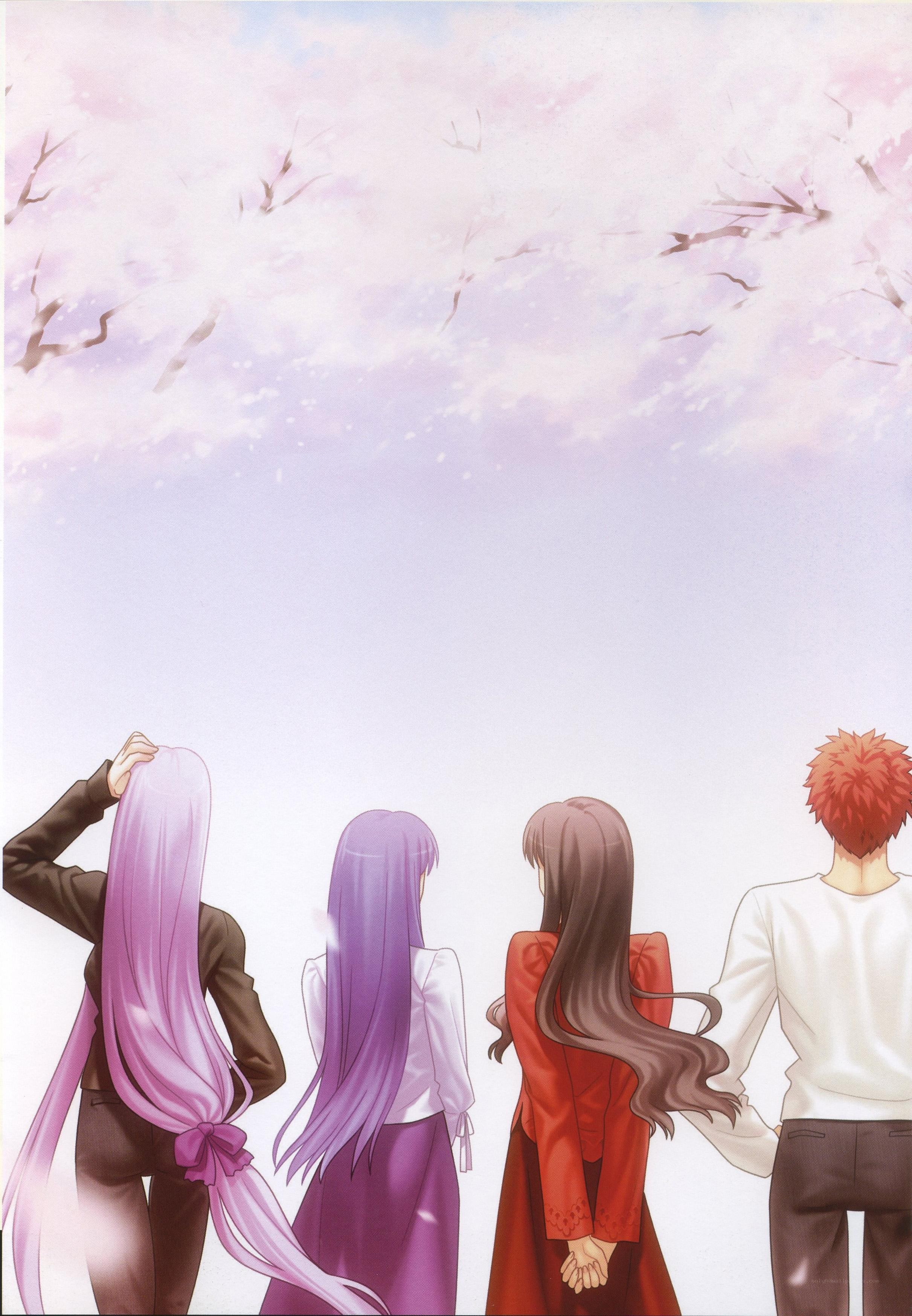 four characters under cherry blossoms
