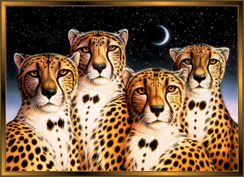 Four Cheetahs in Night Sky
