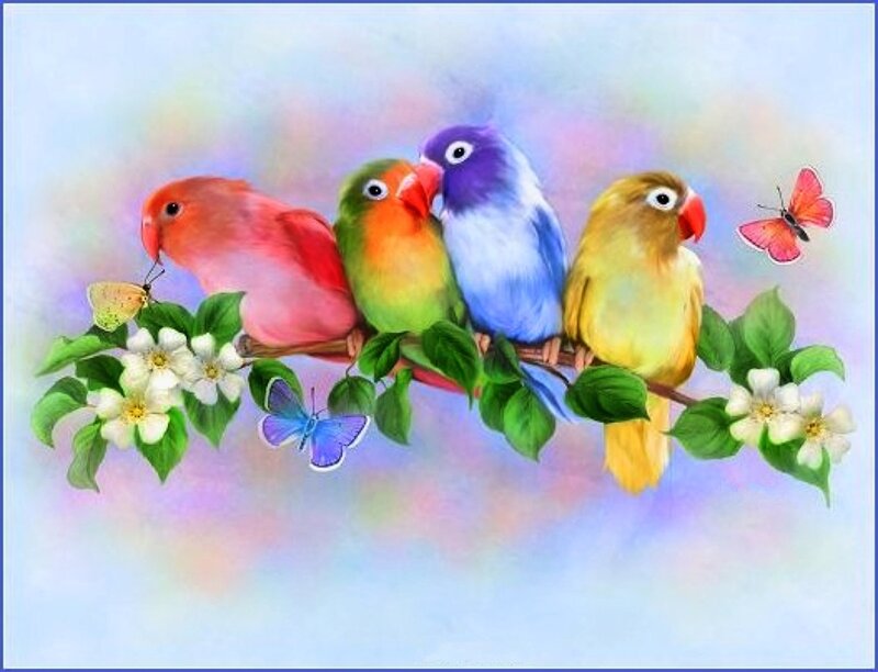 Four Colorful Birds on Branch