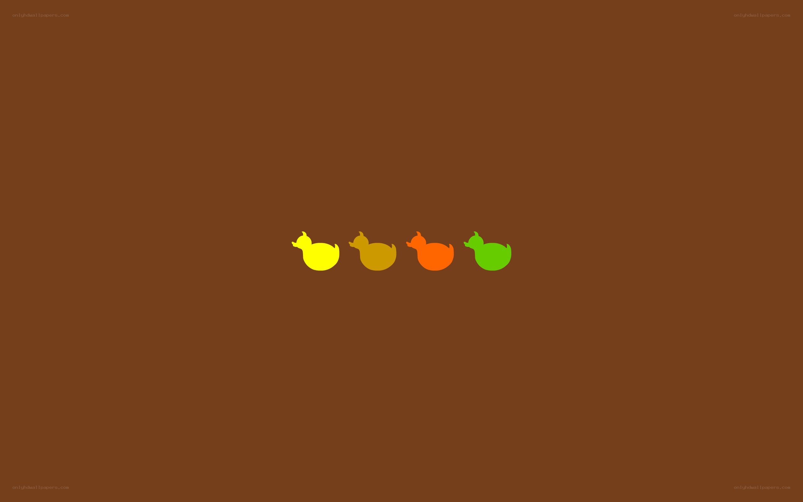 four colorful ducks in a row