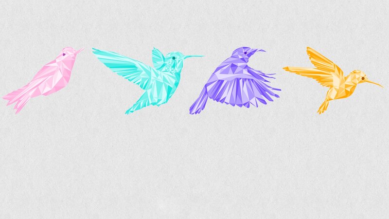 Four Colorful Hummingbirds — Pink