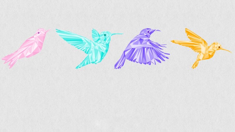 Four Colorful Hummingbirds