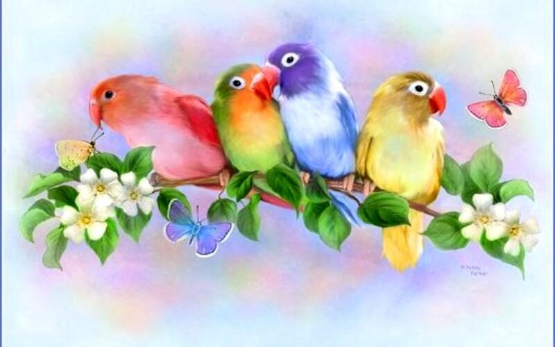 Four Colorful Parrots