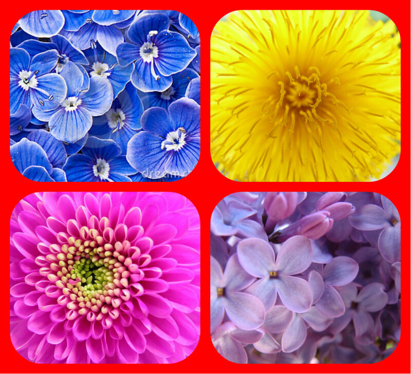 Four Different Flowers — Blue