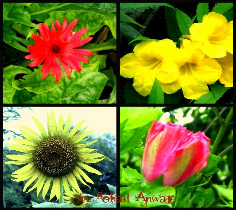 Four Different Flowers
