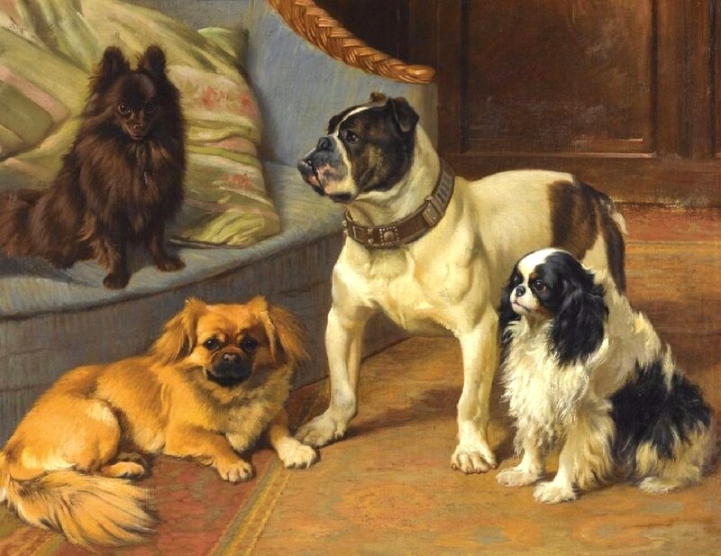Four Dogs in Room