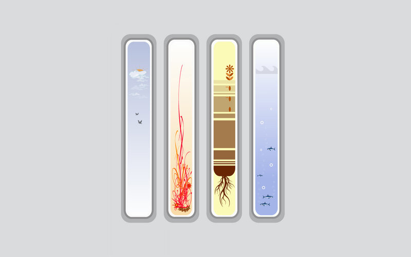 Four Ecosystems in Columns