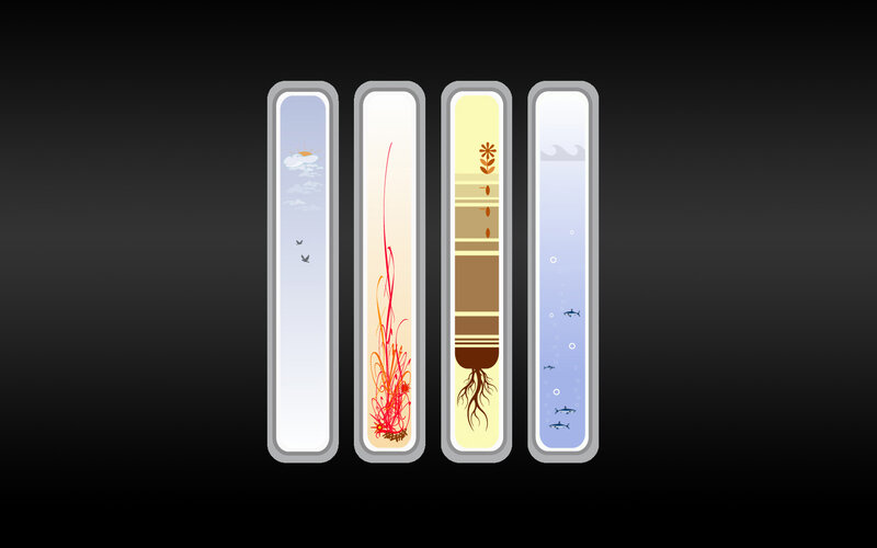 Four ecosystems in vertical panels