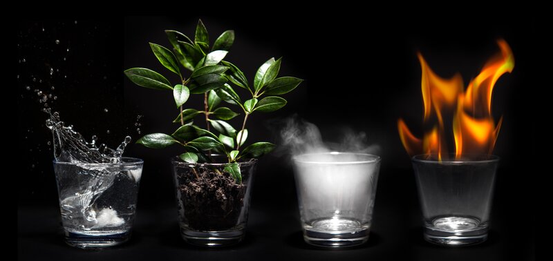 Four Elements in Glasses — Black, Dramatic, Photograph, Plant, Fire, Water, Steam