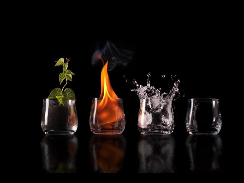 Four Elements in Glasses — Black, Dramatic, Photograph, Plant, Fire, Water