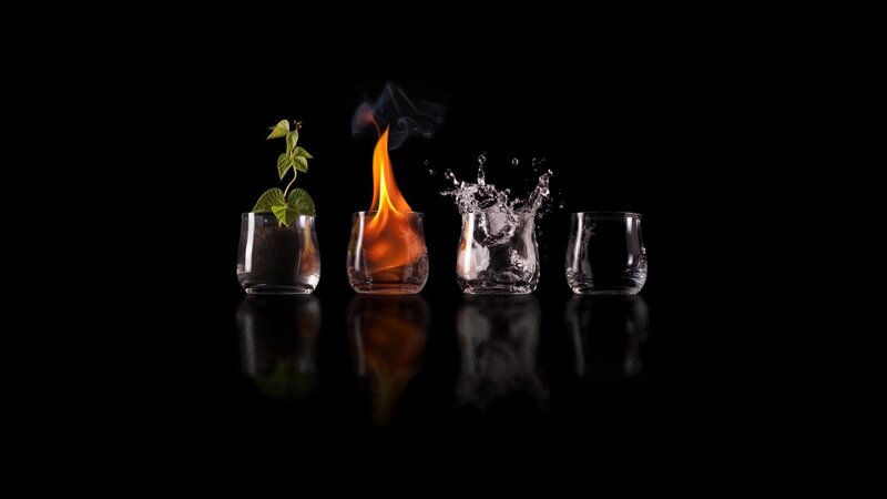 Four Elements in Glasses — Black, Plant