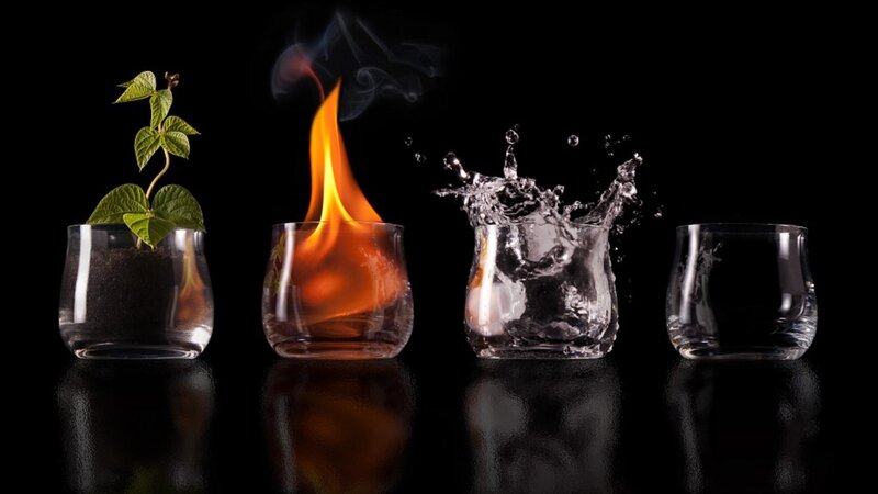 Four Elements in Glasses — Plant