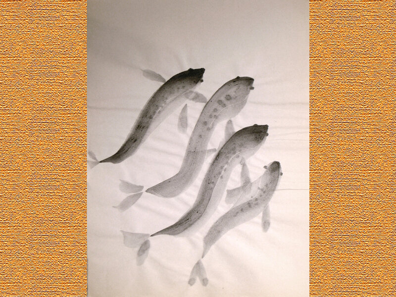 Four Fish Swimming