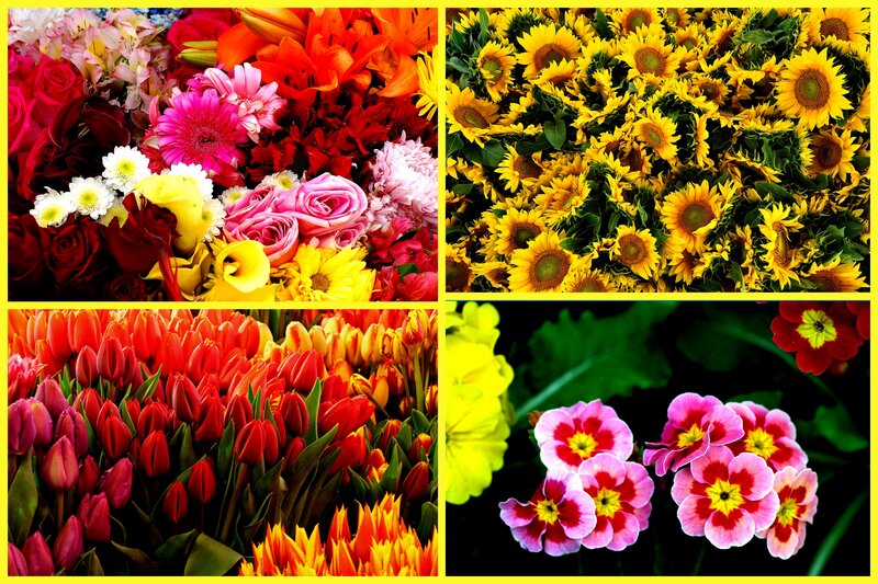 Four Flower Arrangements