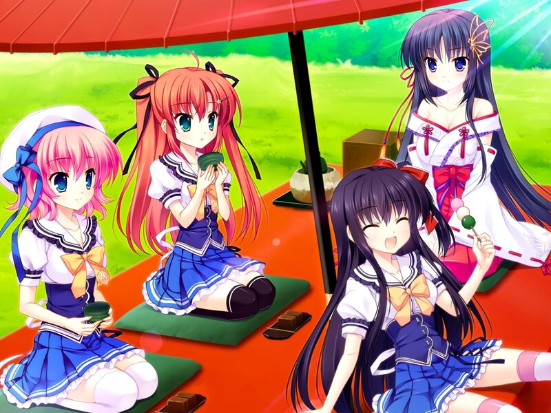 Four Girls at Picnic