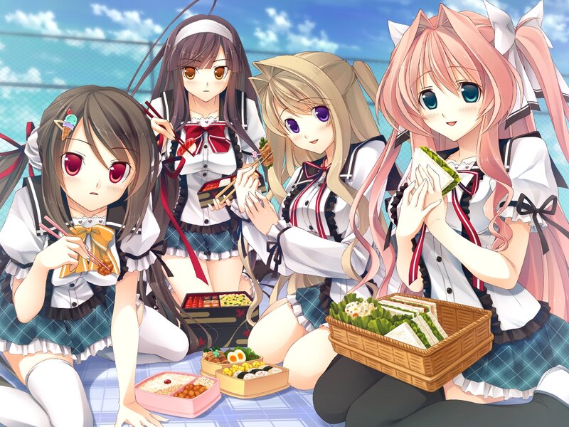 Four Girls Having Picnic — Blue