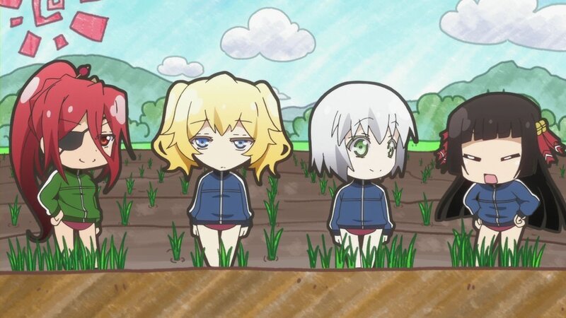 Four Girls in a Field — Green, Calm