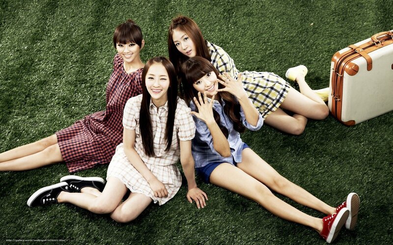 four girls on grass with suitcase