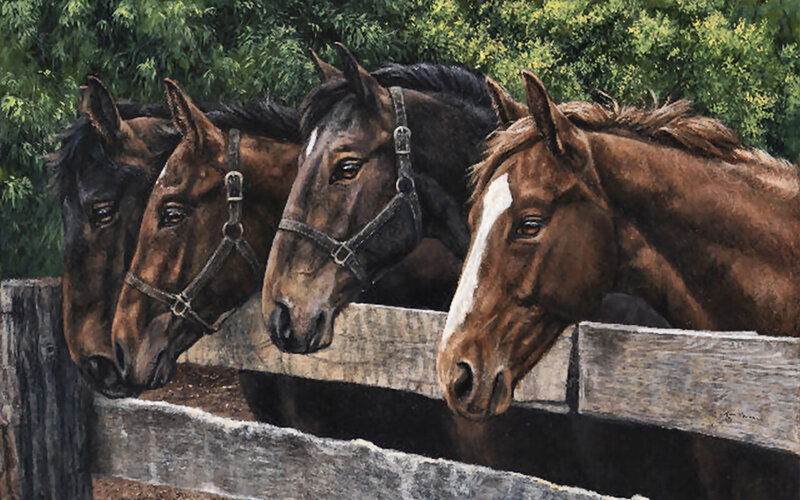 Four Horses at Fence — Brown