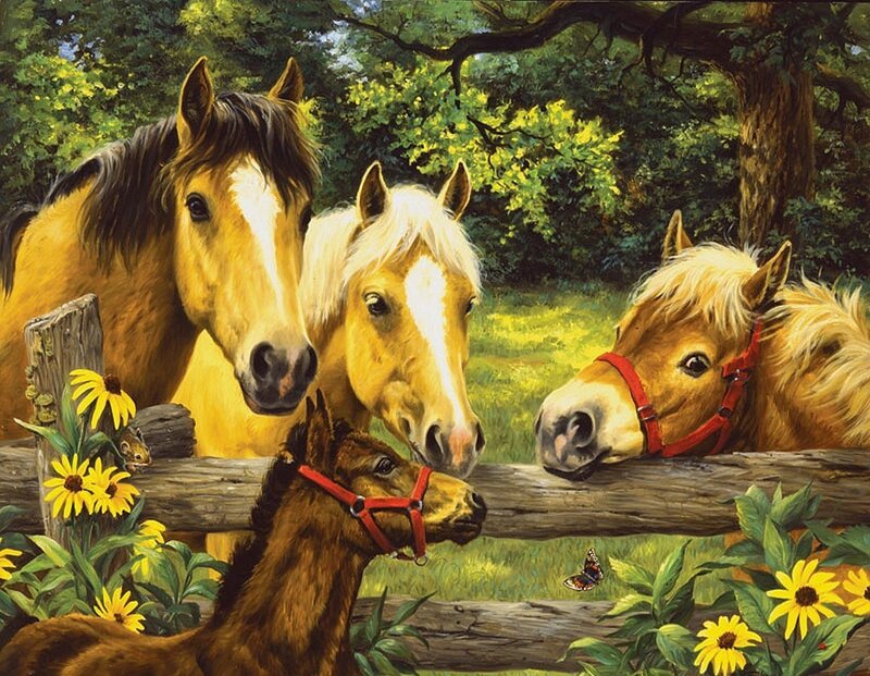 Four Horses at Fence — Yellow
