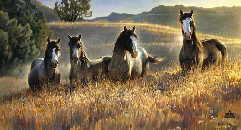 Four Horses in Field