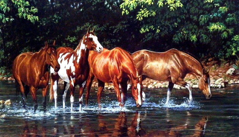 Four Horses in River