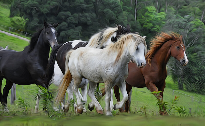 Four Horses Running — Green, Dynamic