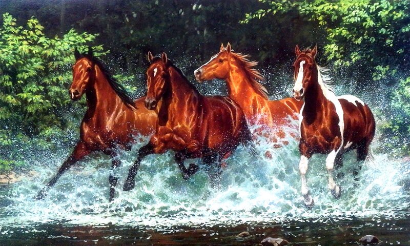 Four Horses Running in Water