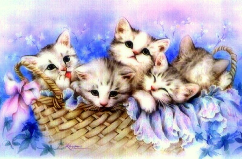 Four Kittens in Basket — Blue, Serene