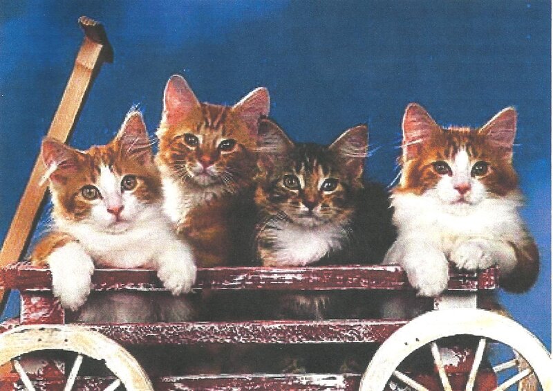 Four Kittens in Wagon — Blue