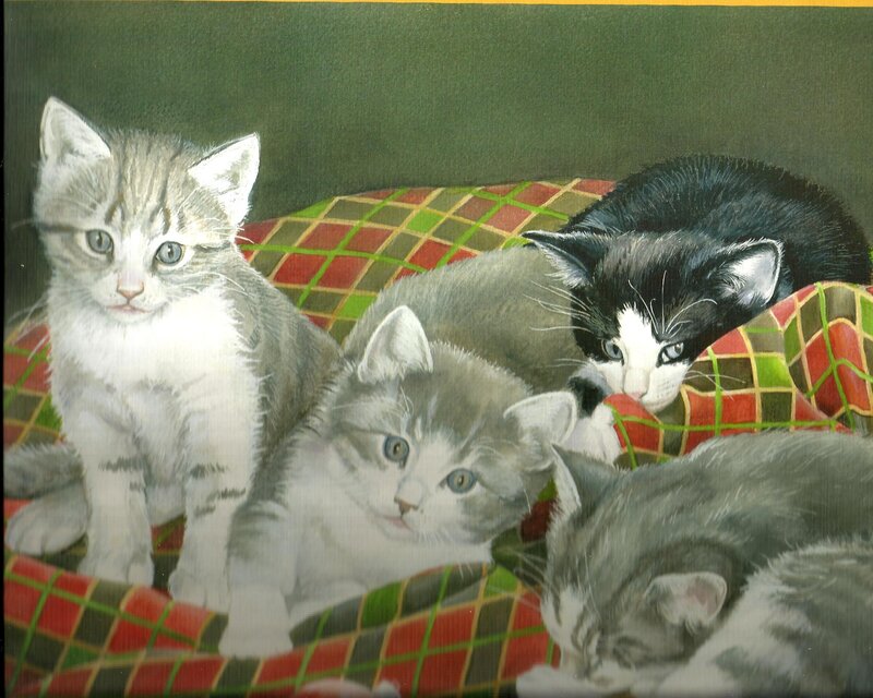 Four Kittens on Blanket — Gray